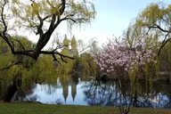 New York Central Park Walking Tour thumbnail 2