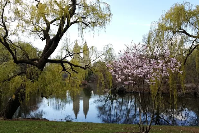 New York Central Park Walking Tour - Image 2