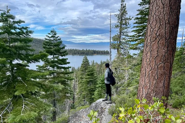 Lake Tahoe Hike with a Local Guide 90 min - Image 1