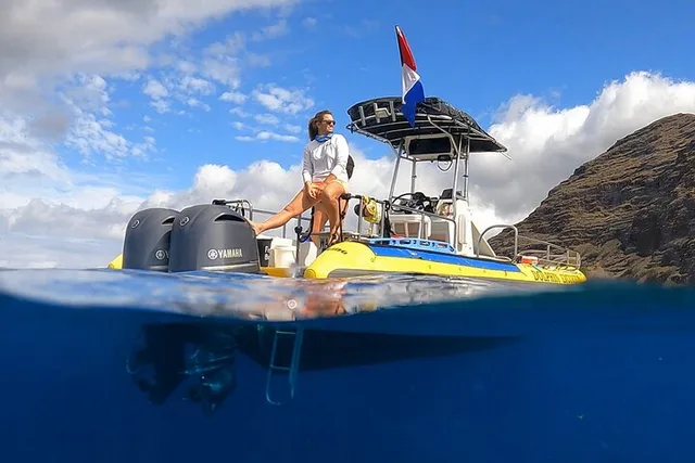 Oahu Dolphin Watching and Snorkel Safari - Image 2