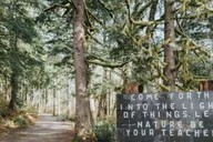 Seattle Waterfall Hike in Wallace Falls Park thumbnail 4