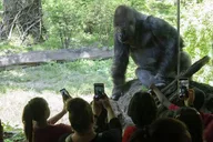 Bronx Zoo Admission Ticket thumbnail 4
