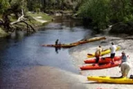Orlando Alligator Kayak Experience thumbnail 1