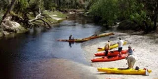 Orlando Alligator Kayak Experience