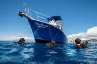 Honolulu Introductory Scuba Dive thumbnail 3