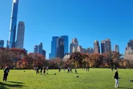 New York Central Park Carriage Ride thumbnail 4