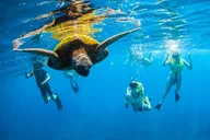 Kauai South Island Zodiac Boat Snorkel Adventure thumbnail 2