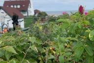 South Portland Lighthouse Bicycle Tour thumbnail 5