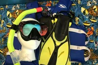 Hanauma Bay Snorkel Gear Rental thumbnail 4