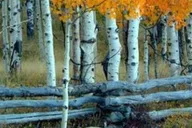 Park City Guided Hiking Tour thumbnail 2