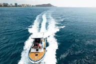 Oahu Whale and Dolphin Watch Boat Cruise 90 Min thumbnail 6