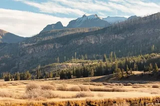 Yellowstone Slough Creek Naturalist Hike