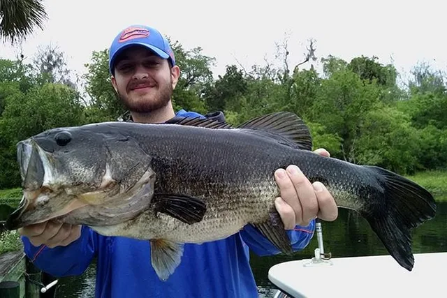 Gainesville Fishing Trip at Rodman Reservoir - Image 3