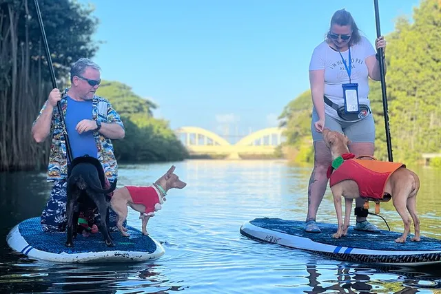 Haleiwa Paddle Board with Rescue Dogs 90 min - Image 3