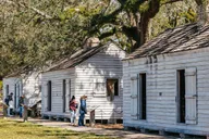 New Orleans Oak Alley Plantation and Airboat Tour thumbnail 6