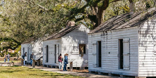 New Orleans Oak Alley Plantation and Airboat Tour - Image 6