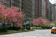 New York Guggenheim Museum Tour with City Walk thumbnail 4