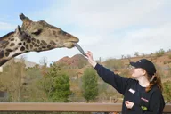 Phoenix Zoo Admission Ticket thumbnail 1