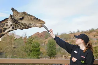 Phoenix Zoo Admission Ticket