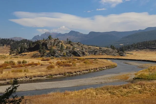 Yellowstone Slough Creek Naturalist Hike - Image 2