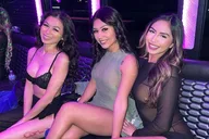 Miami Club Crawl Party Bus Experience thumbnail 5