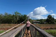 Kauai Waimea Canyon & Koke'e Tour from Oahu thumbnail 4