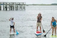 Charleston Stand Up Paddleboard Dolphin Safari thumbnail 3