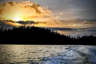 Sitka Wildlife Boat Tour thumbnail 3