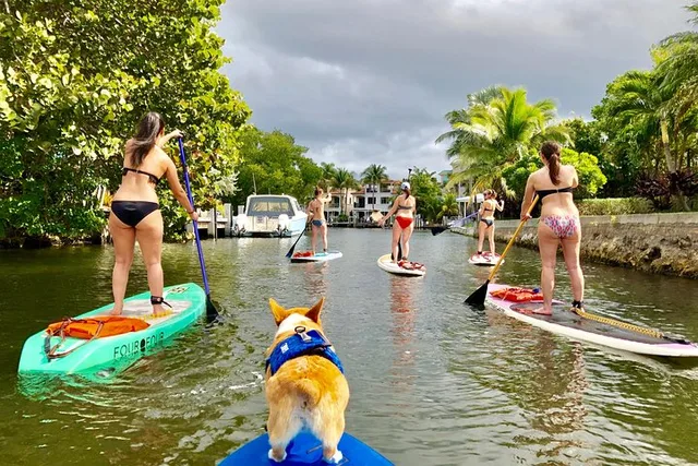 Fort Lauderdale Paddleboard Tour with Mr. Beaches - Image 1