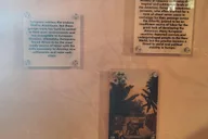 New Orleans Whitney Plantation Tour thumbnail 4