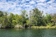 Crystal River Ecological Boat Tour thumbnail 3