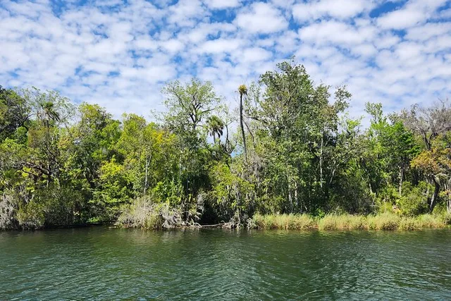 Crystal River Ecological Boat Tour - Image 3