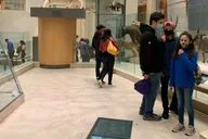 Washington DC Smithsonian Museum of Natural History Tour 2 hr thumbnail 4