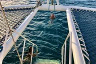 Waikīkī Turtle Snorkel & Sailing Adventure thumbnail 5
