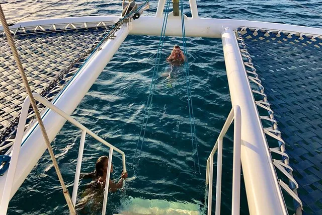 Waikīkī Turtle Snorkel & Sailing Adventure - Image 5