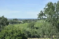 Lodi Wine Tasting Tour thumbnail 2