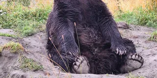 Anchorage Turnagain Arm Full-Day Tour