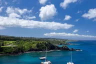 Maui Open-Air Blowhole & Banyan Forest Tour 2.5 hr thumbnail 6