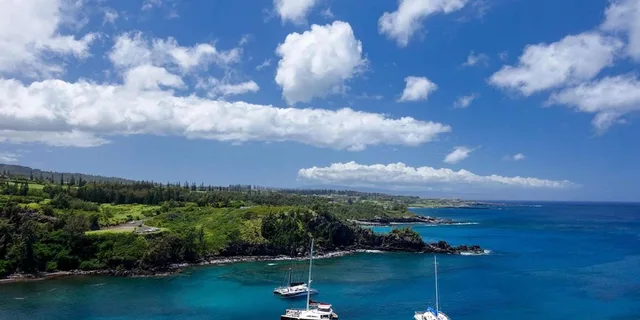 Maui Open-Air Blowhole & Banyan Forest Tour 2.5 hr - Image 6