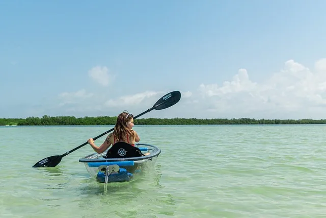 Tampa Bay Clear Kayak Tour of Shell Key Preserve - Image 4