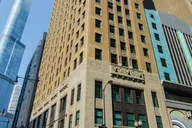 Chicago Skyscraper Evolution Tour in French thumbnail 6
