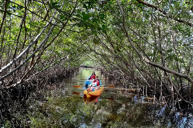Fort Lauderdale Mangrove Kayak Eco Tour - Image 1