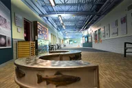 Anchorage Salmon Adventure Hatchery and Ship Creek thumbnail 2