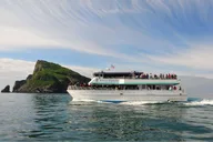 Seward Wildlife Tour in Resurrection Bay 4 hr thumbnail 2