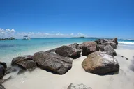 Panama City Dolphin Tour with Marine Biologist 3 hr thumbnail 6