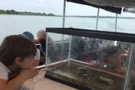 Charleston Nature Boat Tour with Naturalist thumbnail 2