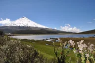 Quito Horseback Riding and Cotopaxi Refuge thumbnail 1