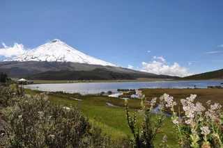 Quito Horseback Riding and Cotopaxi Refuge