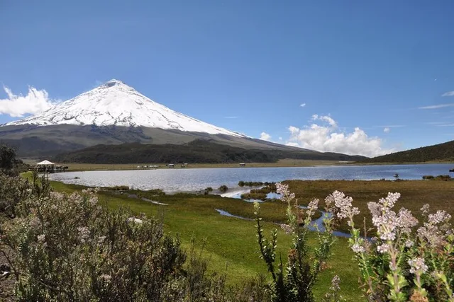 Quito Horseback Riding and Cotopaxi Refuge - Image 1