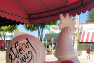 Miami Sightseeing Tour in a Minivan thumbnail 6